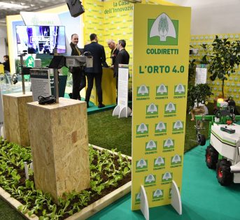 AGRICOLTURA DI PRECISIONE E DIGITALIZZAZIONE: DECISION SUPPORT SYSTEM, COSA COSA E IL RUOLO DELL’APP DEMETRA