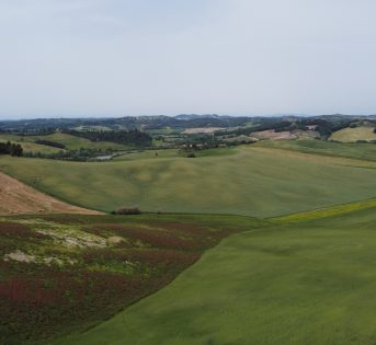 AGROBIODIVERSITA’: AGRICOLTURA RIGENERATIVA E TUTELA DELLA BIODIVERSITÀ,  LE PRATICHE COLTURALI PIU’ COMUNI