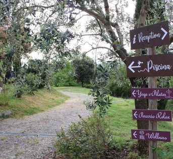 MULTIFUNZIONALITA’: DALL’AGRITURISMO ALLE FATTORIE DIDATTICHE, APERTO IL BANDO PER FAVORIRE LA DIVERSIFICAZIONE DELLE IMPRESE AGRICOLA