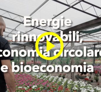 AMBIENTE: ENERGIA DAL SOLE E LOTTA AGLI SPRECHI, LA SOSTENIBILITÀ MIGLIORA LA COMPETITIVITÀ
