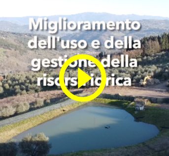 GESTIONE DELLA RISORSA IDRICA: OLIVICOLTURA E SICCITA’, IL RUOLO STRATEGICO DEGLI INVASI