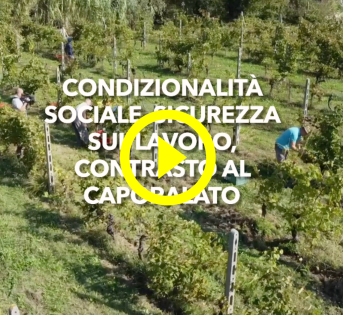 LAVORO: LOTTA ALLO SFRUTTAMENTO E INTEGRAZIONE, ESEMPI VIRTUOSI IN TOSCANA