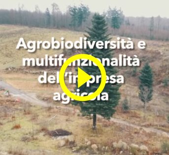  AGROBIODIVERSITÀ: MULTIFUNZIONALITA’ E CONTRATTI DI FILIERA, LA SOSTENIBILITA’ (ANCHE ECONOMICA) PASSA DI QUI