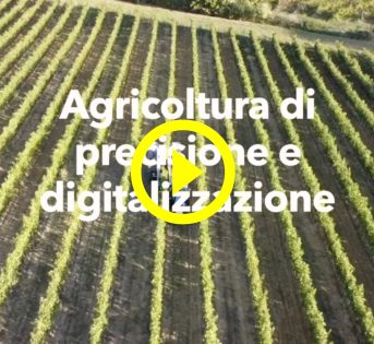 AGRICOLTURA DI PRECISIONE: LA VENDEMMIA MECCANIZZATA E LA SERRA INTELLIGENTE
