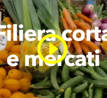 VENDITA DIRETTA: LA FILIERA CORTA E’ SEMPRE PIU’ AMICA, L’ESPERIENZA DEI MERCATI CONTADINI 